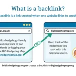 why-are-backlinks-important-to-seo